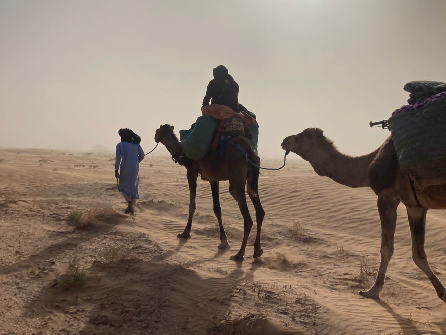 Image of Desert Trekking, Morocco Tours